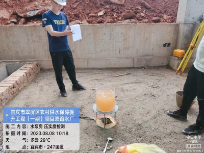 宜賓市翠屏區(qū)農(nóng)村供水保障提升工程（一期）項目（雙誼水廠）